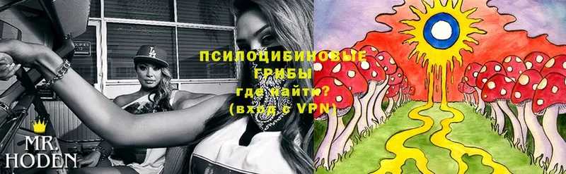 Галлюциногенные грибы Psilocybine cubensis  Барабинск 